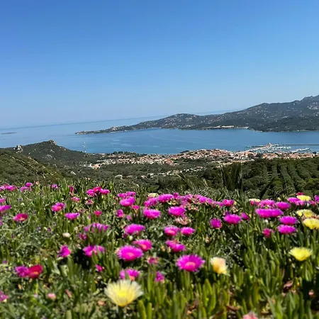 Stanza In Amaca Angolo Di Paradiso Piscina Riscaldata E Sauna Raggi Infrarossi Pensjonat Arzachena