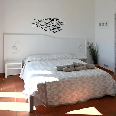 Stanza In Amaca Angolo Di Paradiso Piscina Riscaldata E Sauna Raggi Infrarossi ゲストハウス アルツァケーナ