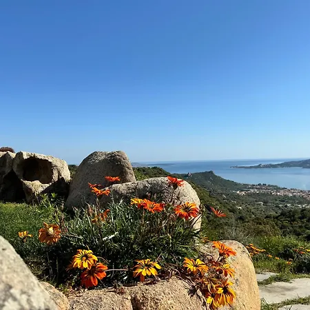 Stanza In Amaca Angolo Di Paradiso Piscina Riscaldata E Sauna Raggi Infrarossi Guest house Arzachena
