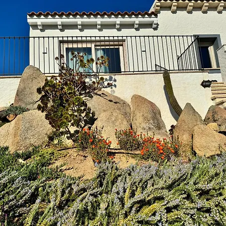 Stanza In Amaca Angolo Di Paradiso Piscina Riscaldata E Sauna Raggi Infrarossi Guest house Arzachena