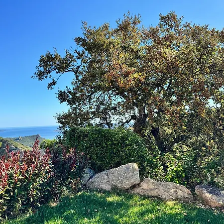 Guest house Stanza In Amaca Angolo Di Paradiso Piscina Riscaldata E Sauna Raggi Infrarossi Arzachena