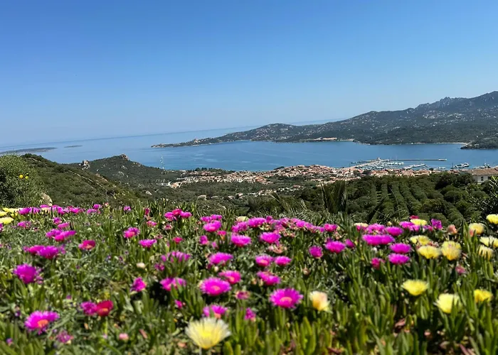 Stanza In Amaca Angolo Di Paradiso Piscina Riscaldata E Sauna Raggi Infrarossi Casa de hóspedes Arzachena