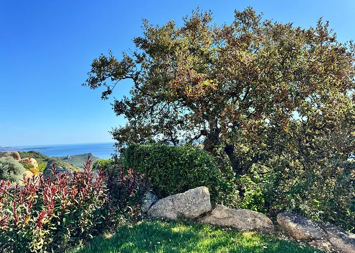 Casa de hóspedes Stanza In Amaca Angolo Di Paradiso Piscina Riscaldata E Sauna Raggi Infrarossi Arzachena